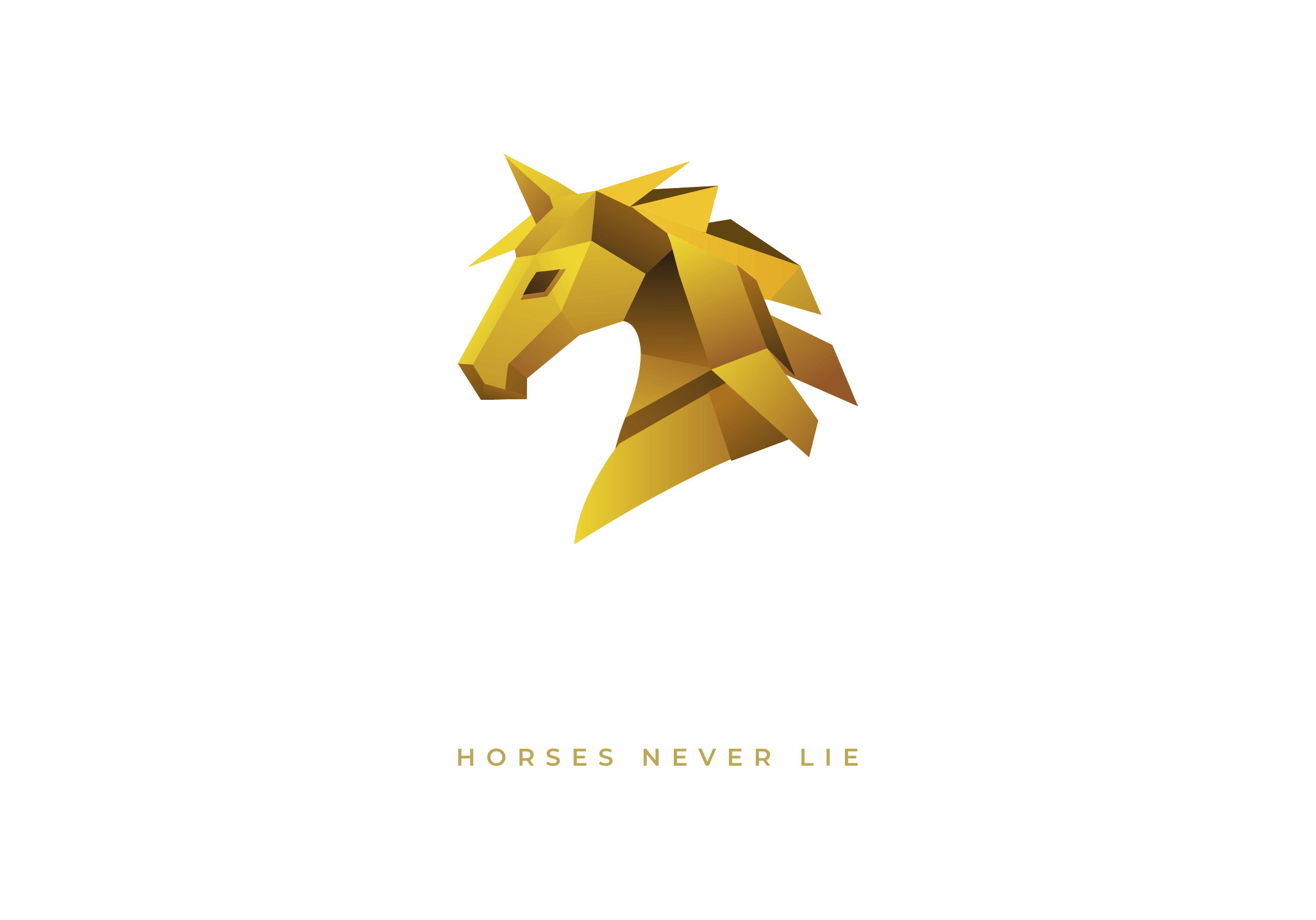 The Horse Origin