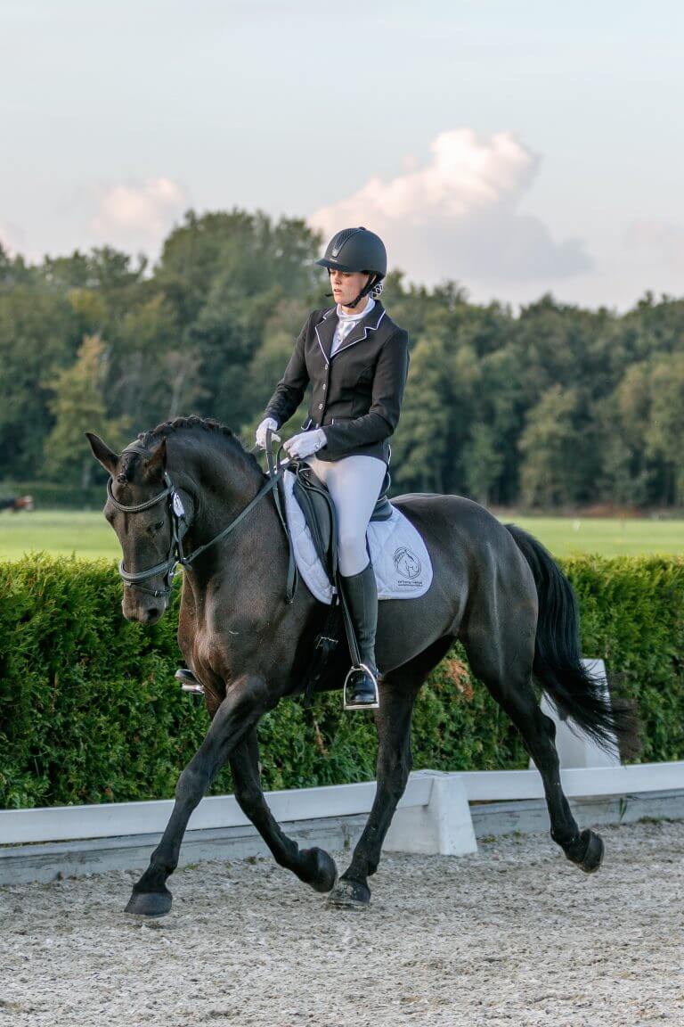 www.thehorseorigin.nl - Diensten - Dressuurinstructie - Barneveld - Gelderland
