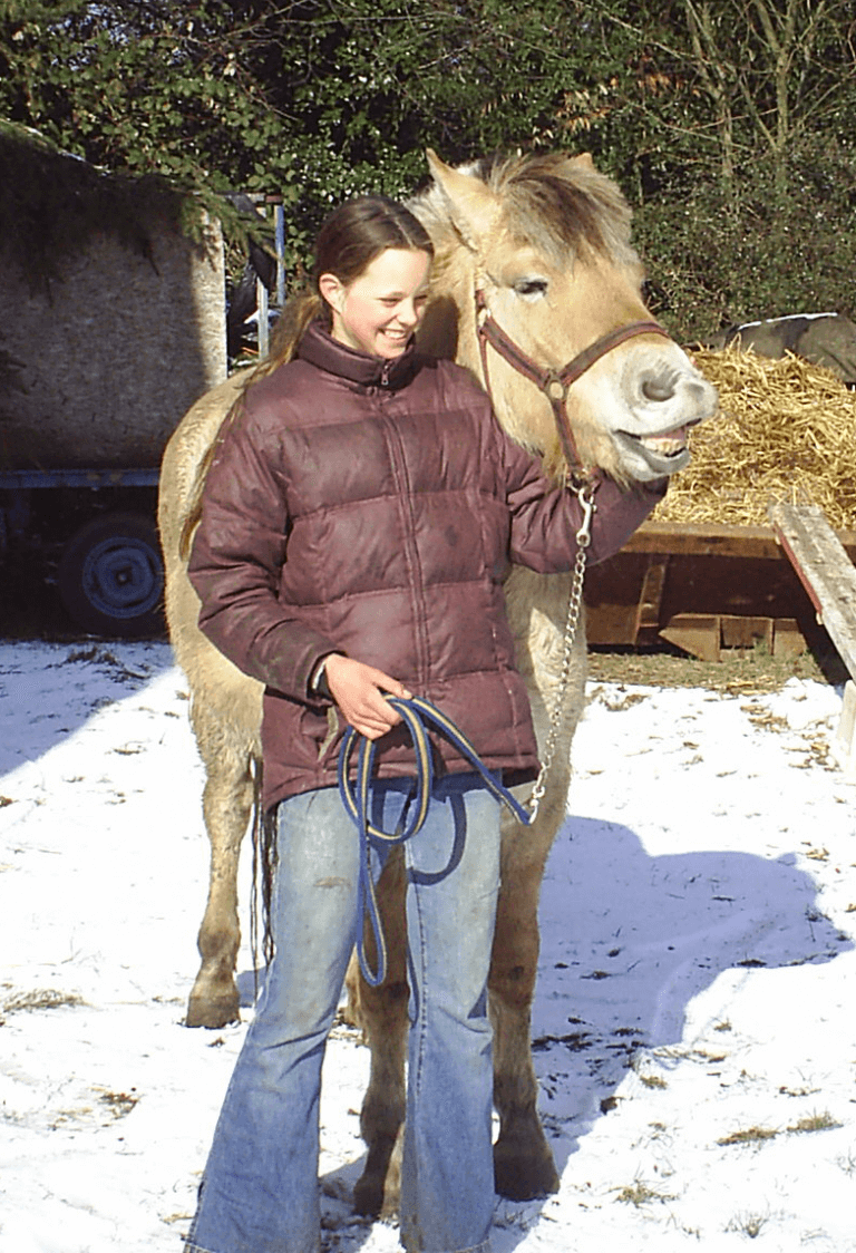 www.thehorseorigin.nl - Barneveld - Gelderland