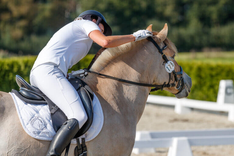 www.thehorseorigin.nl - Barneveld - Gelderland