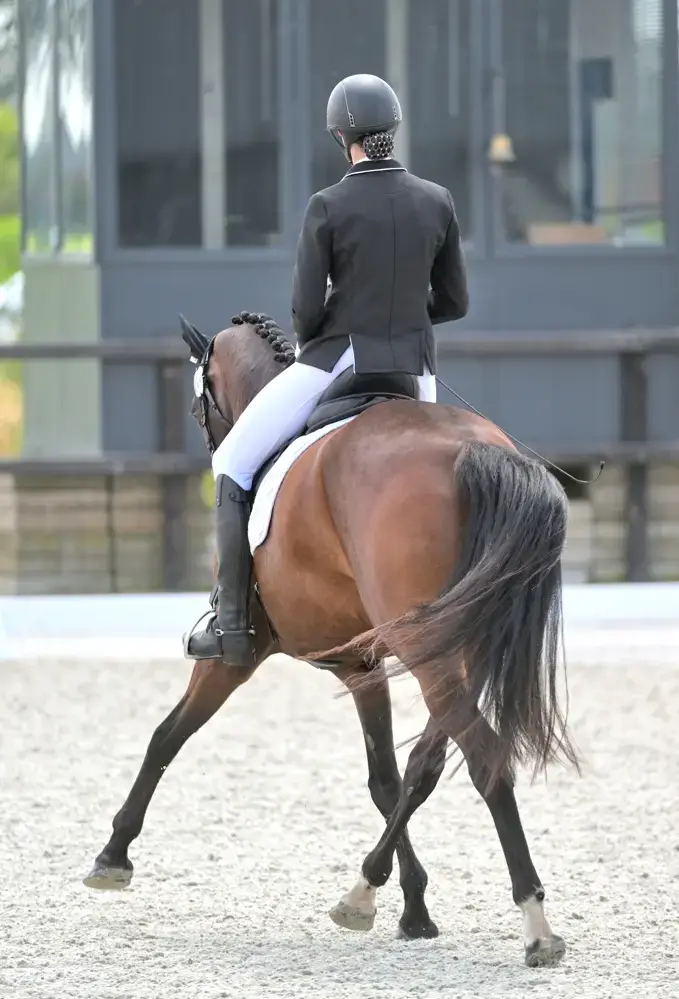 www.thehorseorigin.nl - Barneveld - Gelderland