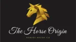 www.thehorseorigin.nl - Barneveld - Gelderland