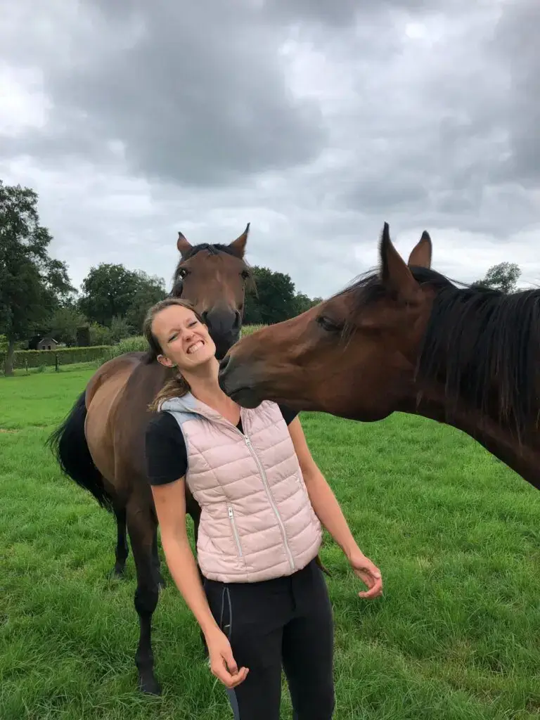 www.thehorseorigin.nl - Barneveld - Gelderland