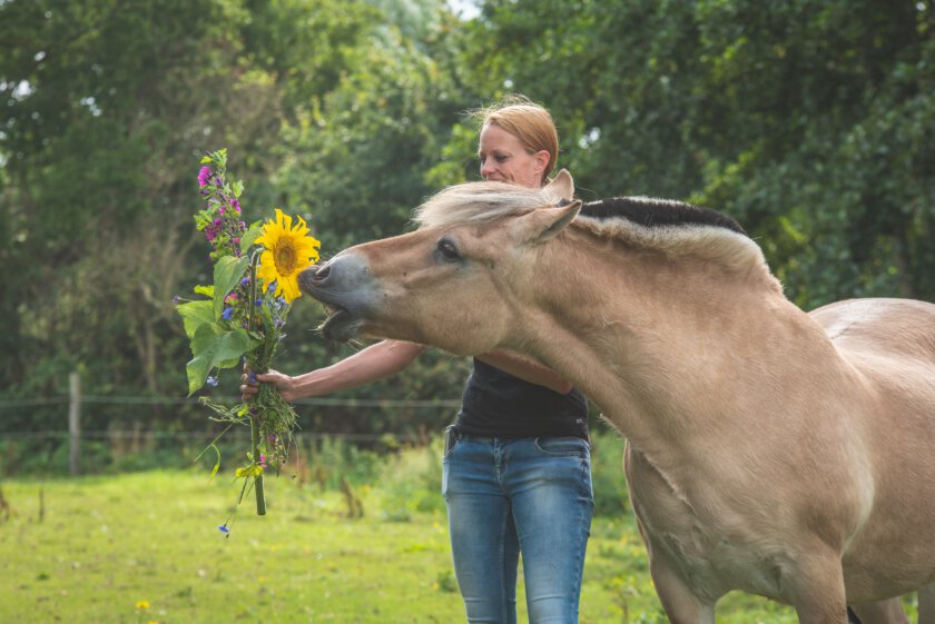 Orthomoleculair voedingsadviseur
