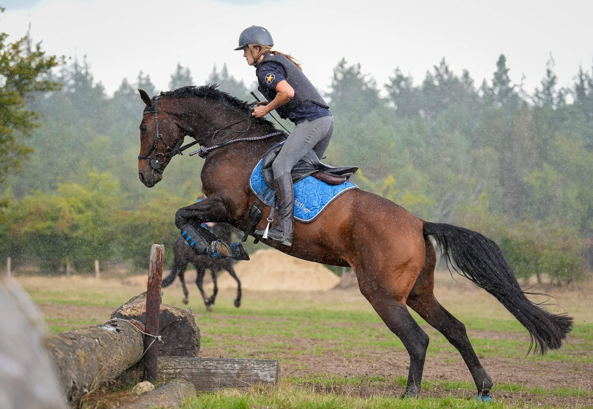 Zonder twijfel op je paard stappen