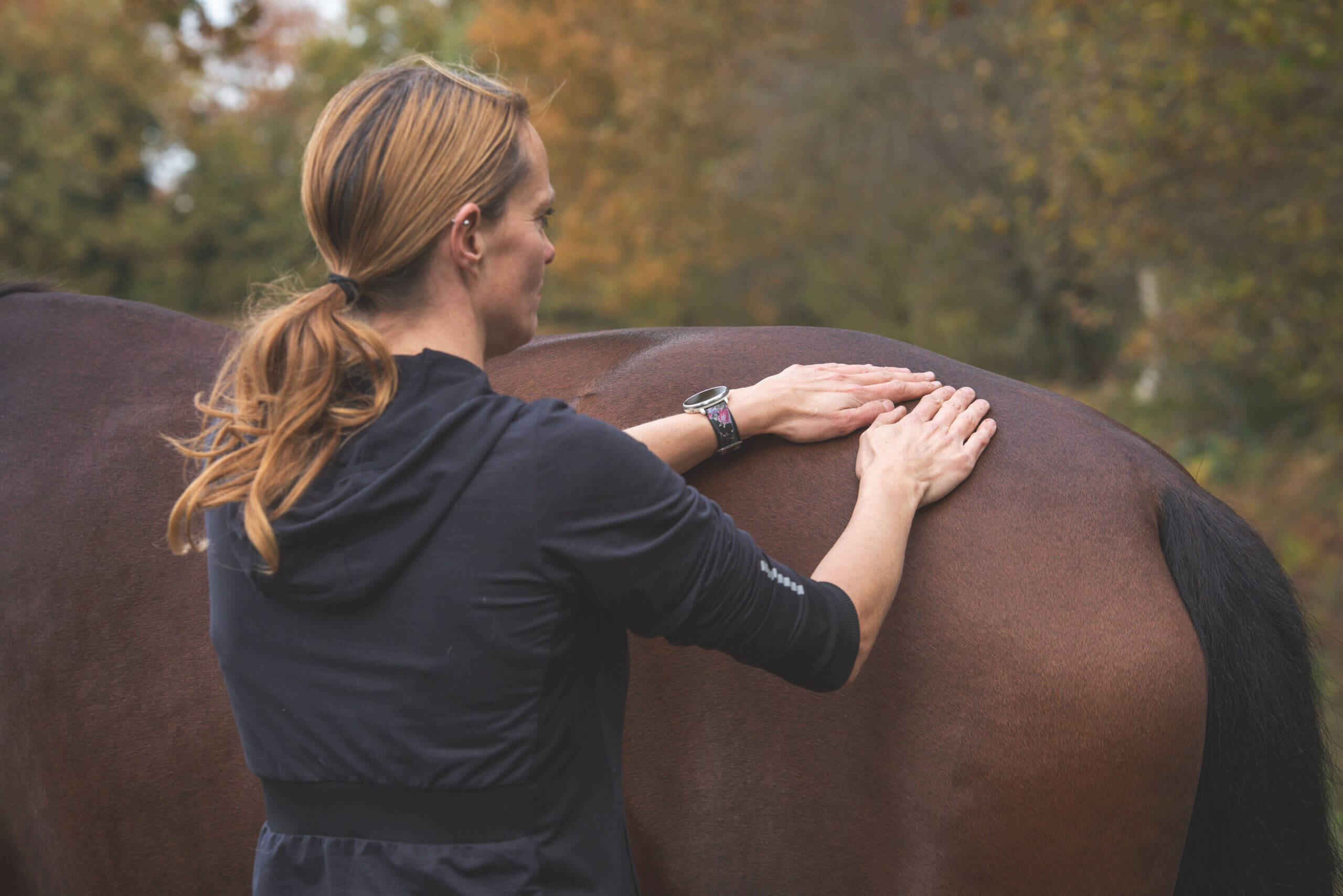 De zachte massage voor jouw paard