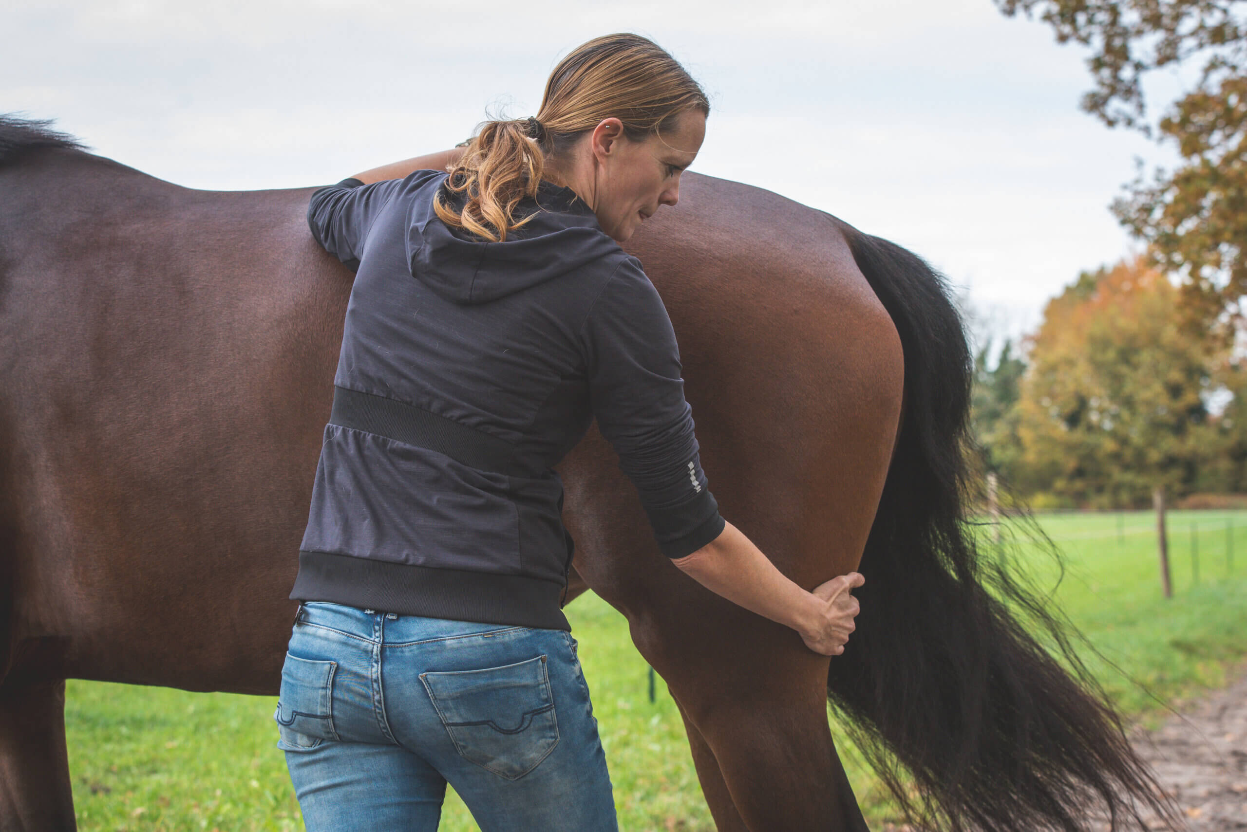 Meer losgelatenheid voor jouw paard