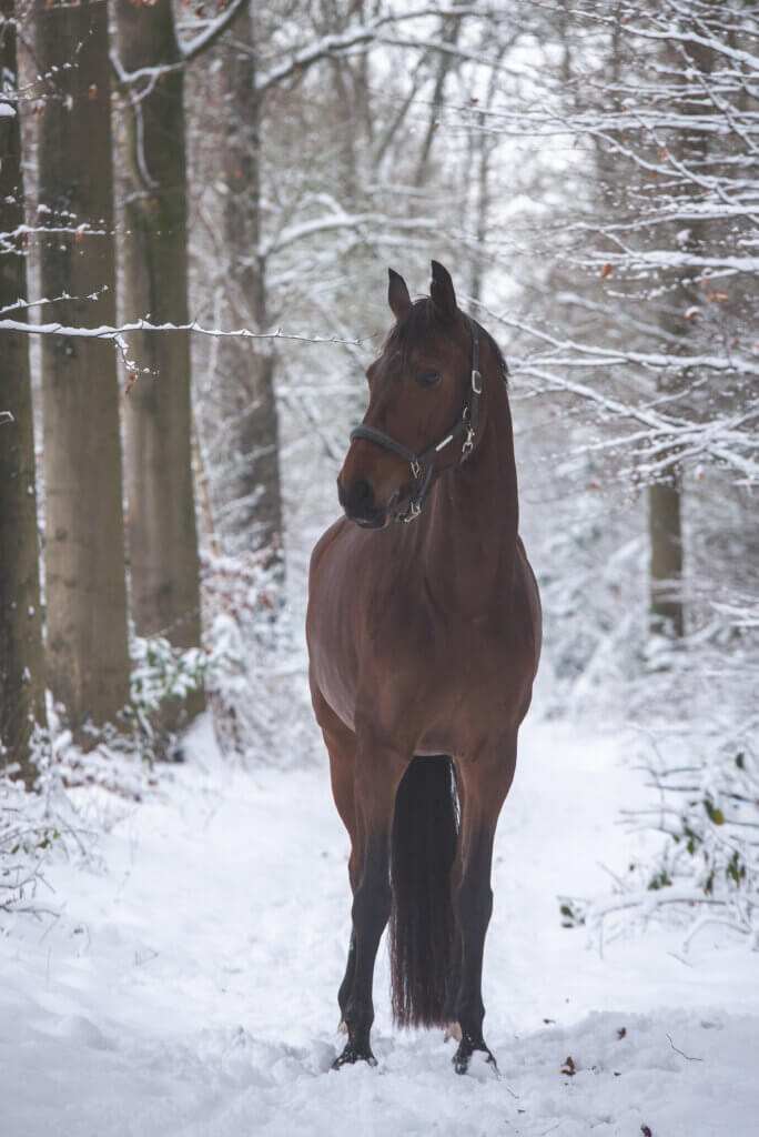 Voer met de seizoenen mee