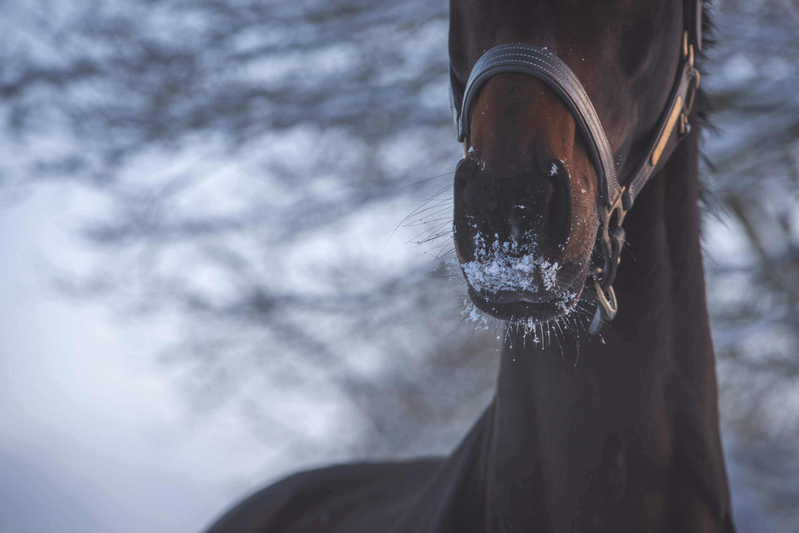 Met de seizoenen meevoeren