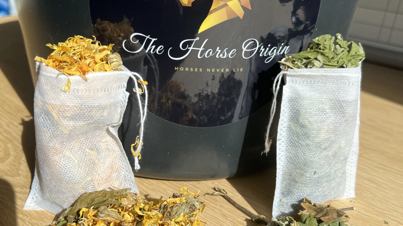 Thee voor jou en je paard. Zelf paardenthee maken