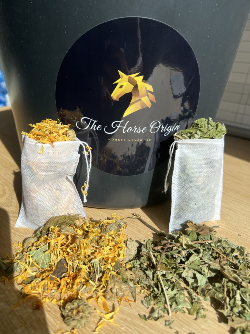 Thee voor jou en je paard. Zelf paardenthee maken