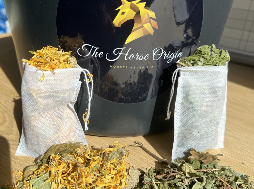 Thee voor jou en je paard. Zelf paardenthee maken